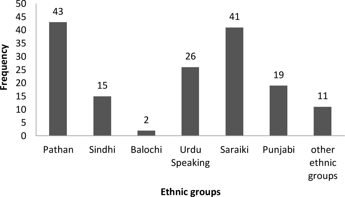 Ethnic distribution of hepatitis B envelope antigen-negative patients with chronic hepatitis B virus. Other ethnic groups include Afghani Pathans, Hindkowans, Bengali, and Baiti