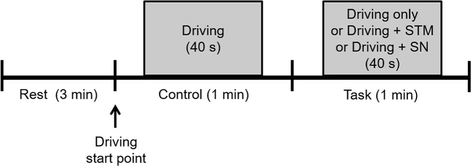Experimental paradigm STM, sending a text message; SN, searching a navigation device