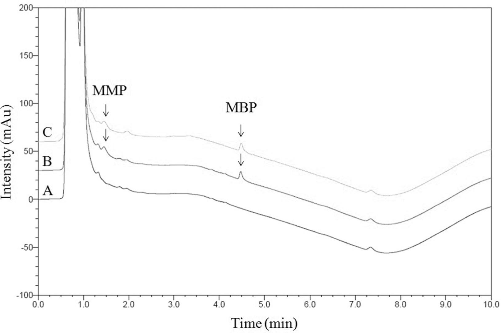 (A) Chromatogram of blank urine; (B) phthalate-spiked blank urine (MMP and MBP at 250 ng/mL); and (C) representative urine sample containing MMP and MBP. MBP, mono-n-butyl phthalate; MMP, monomethyl phthalate