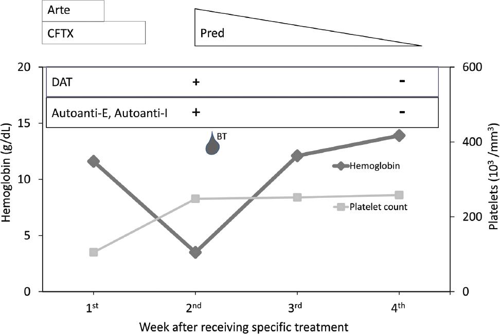 Evolution of autoimmune hemolytic anemia and development of autoantibodies during severe Plasmodium falciparum malaria infection treated with intravenous artesunate.