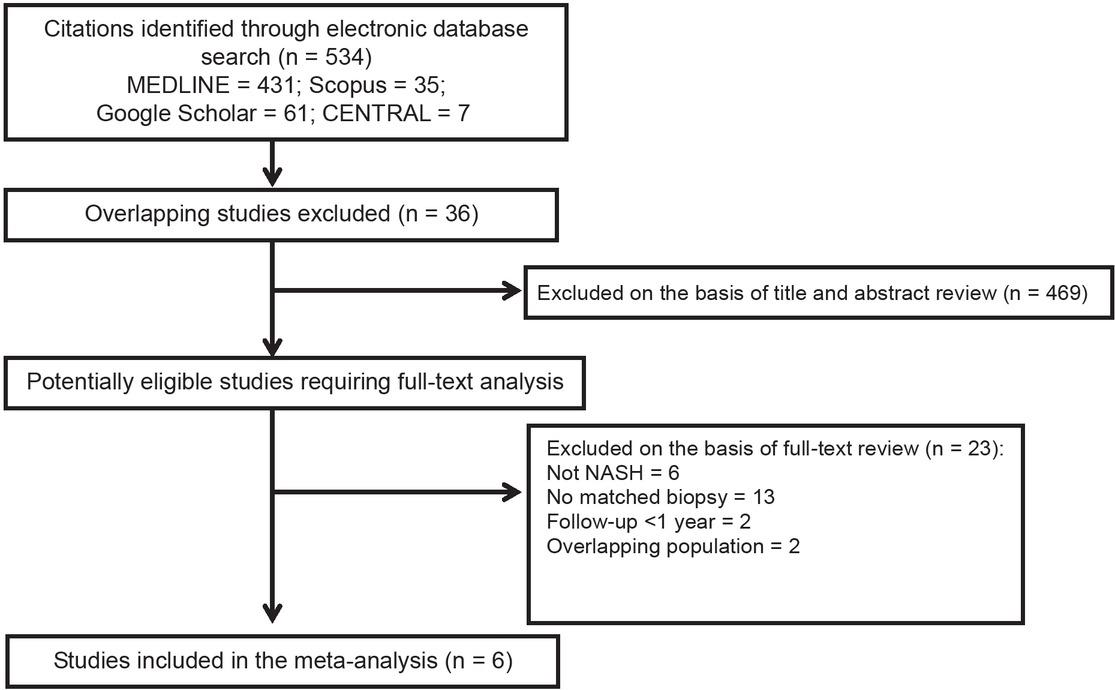 Study selection flow diagram