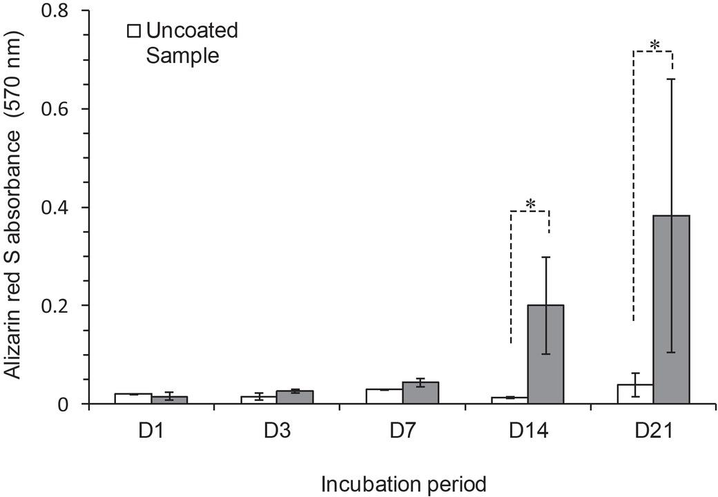 Comparison of cell mineralization on the surfaces of 20 uncoated and 20 coated (gray bars) titanium samples by Alizarin red S assay (error bars, standard deviation, n = 4 per type per time point). Absorbance by the Alizarin red S at 570 nm, and D indicates the time of incubation in days. *P < 0.05