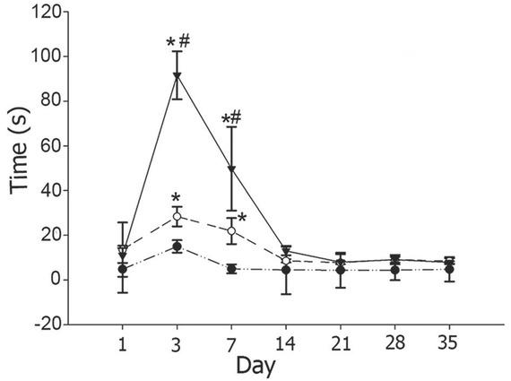 Comparison of adhesive paper (sticker) removal time. For the rats with MSCI (open circles, dashed line) and SSCIS (inverted solid triangles, unbroken line), the time for removing the sticker was increased and there was a significant somatosensory deficit only on days 3 and 7, but not after day 14 when compared with rats in the sham (laminectomy only) group (solid circles, dashed and dotted line). *P < 0.05 when compared to day 1. #P < 0.05 when compared with the SH group. Error bars indicate standard error of the mean
