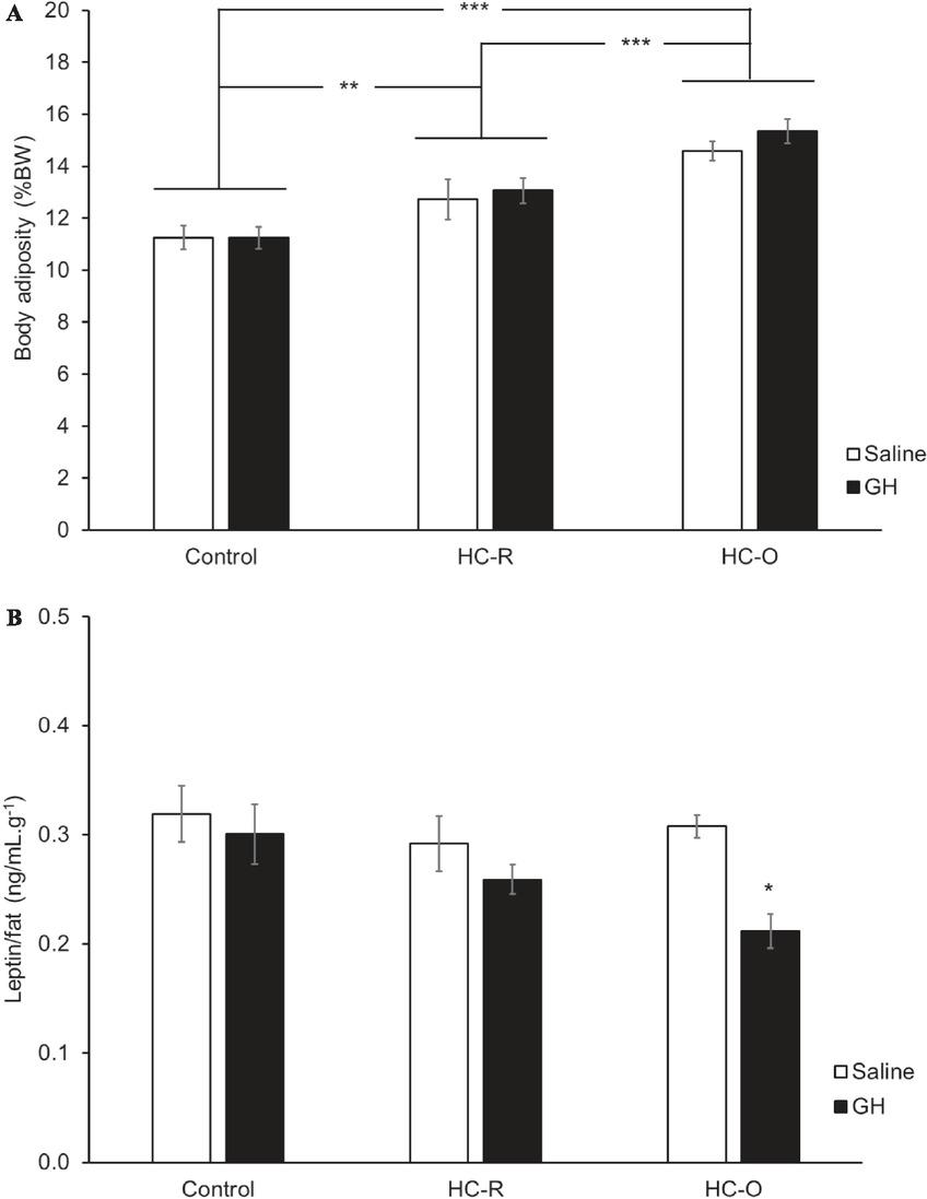 The effect of short-term GH treatment on body adiposity and leptin per fat mass. (A) There was no effect of GH on body adiposity in all rats, and HC-O rats had the highest fat mass compared to HC-R and control rats (***P < 0.001, **P < 0.01). (B) There was a significant effect of GH on leptin secretion per fat mass in HC-O rats.*The leptin per fat mass of GH-treated HC-O rats was significantly lower than that from saline treatment, P < 0.05GH, growth hormone; HC-O, hypercaloric diet obese; HC-R, hypercaloric diet resistance