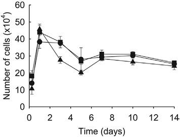 Growth kinetics of rat mesenchymal stem cells cultured in hydrogels. Squares indicate hydrogels made of 4% silk fibroin (SF) solution only (SF hydrogel), circles indicate hydrogels made of 4% SF solution + 0.05% collagen solution (SF/0.05C hydrogel), and triangles indicate hydrogels made of 4% SF solution + 0.1% collagen solution (SF/0.1C hydrogel). Error bars are standard deviations of triplicate experiments.
