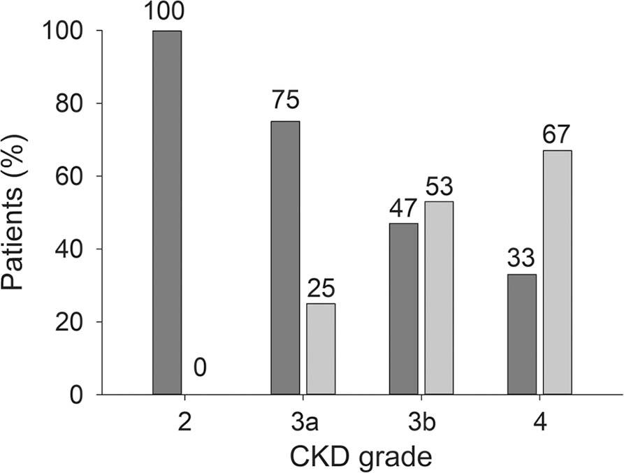 Renal cortical thicknesses in different chronic kidney disease (CKD) grades. Dark gray bar ≥6.0 mm; light gray bar <6.0 mm.