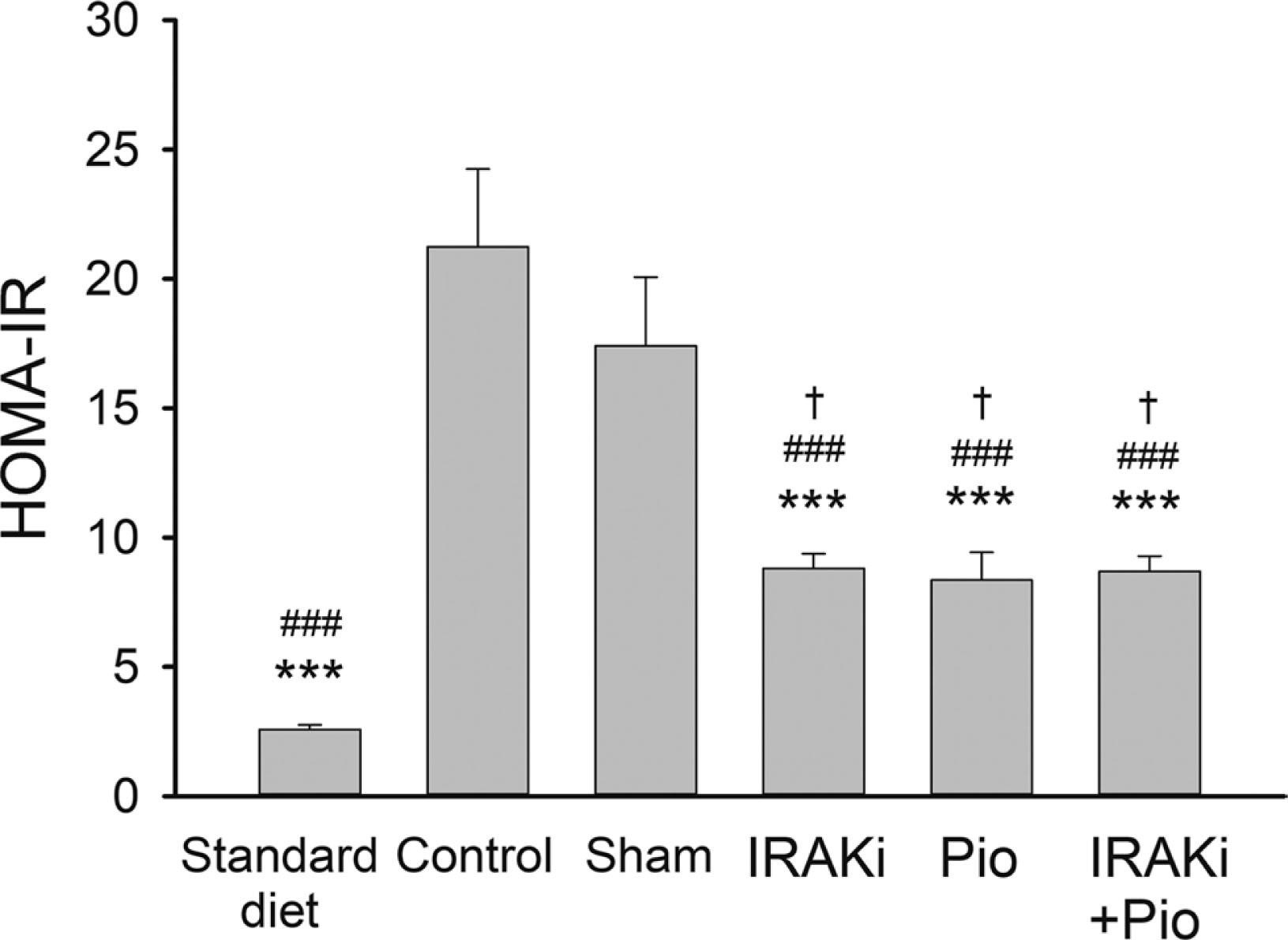 HOMA-IR index in mice after various treatments. Insulin resistance developed in mice fed with the high-fat diet for 12 weeks, and then these mice were treated for 2 weeks with the IRAKi, pioglitazone (Pio), or a combination of both (IRAKi+Pio). HOMA-IR was computed using a standard formula. ***P < 0.0001 compared with the control group. ###P < 0.0001 compared with the sham group. †P < 0.05 compared with the standard diet group (n = 8 mice per group).