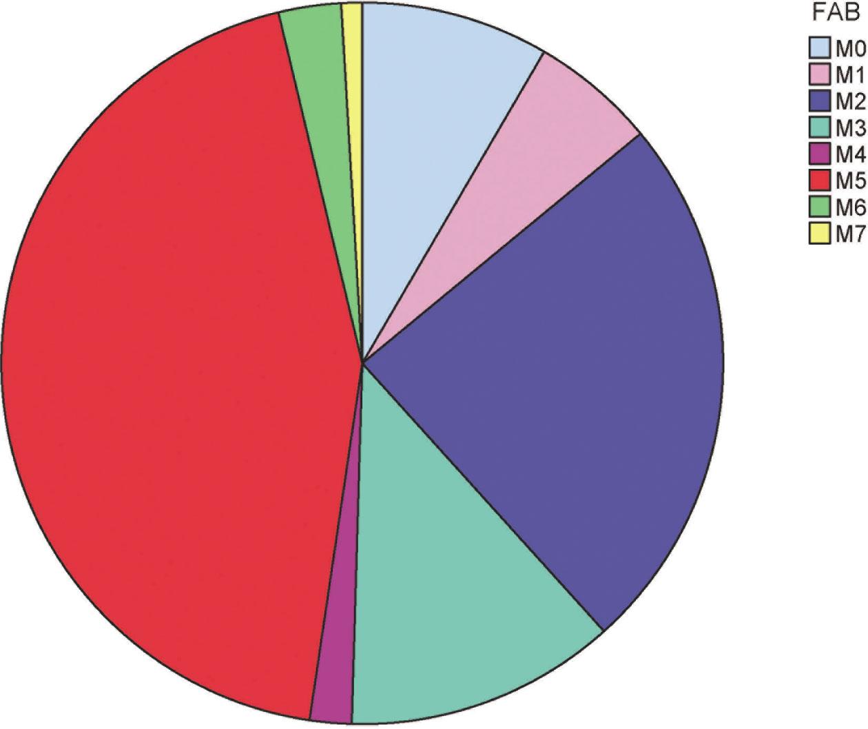 FAB cooperative group subtype classification of the 107 cases of AML in childhood. AML, acute myeloid leukemia; FAB, French-American-British.