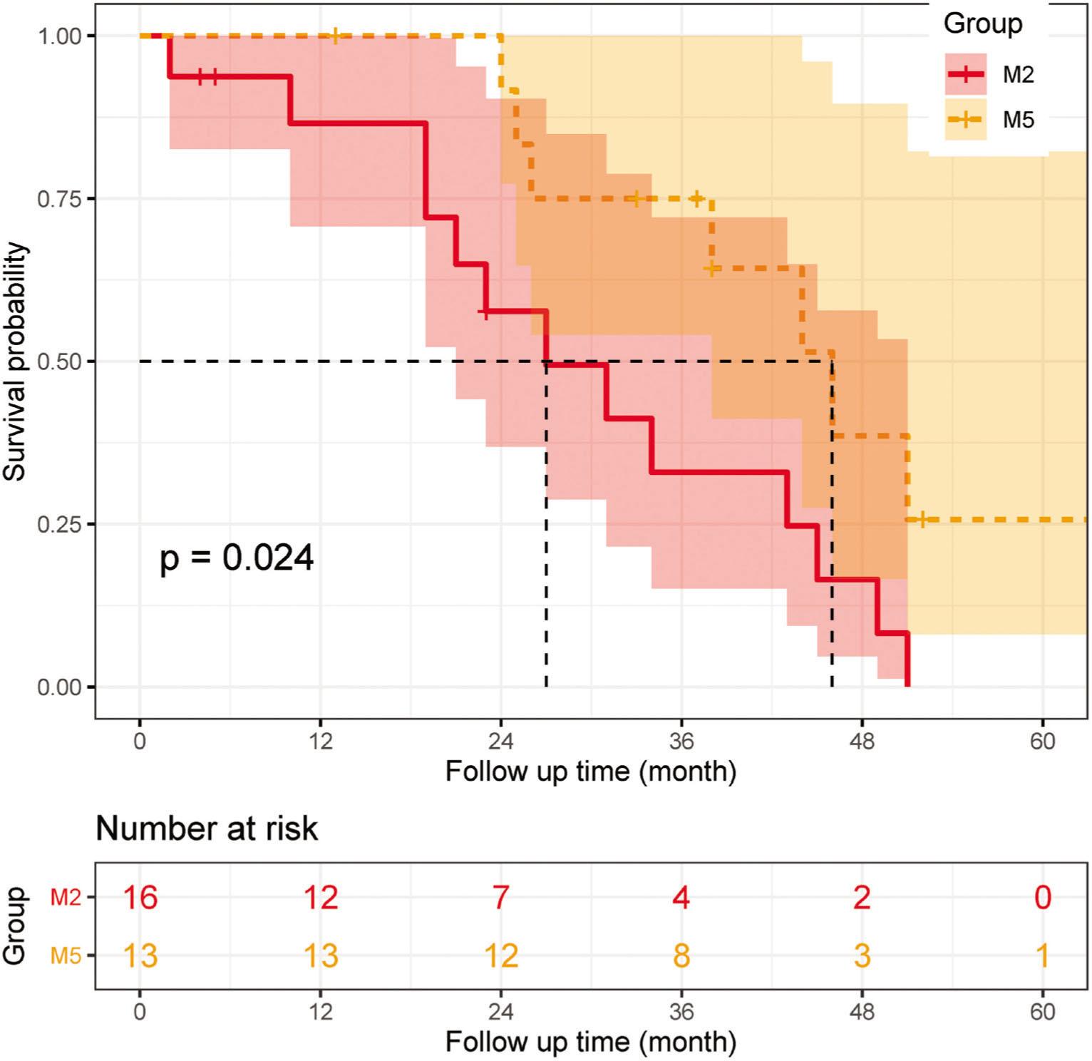 Comparison of overall survival in FAB-M5/M2 with t(8;21)/RUNX1-RUNX1T1. FAB, French-American-British. AQ1