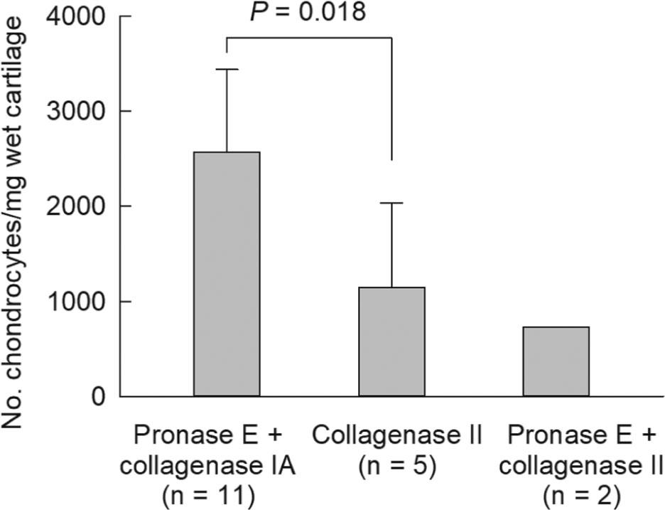 Comparison of cell yield between 3 chondrocyte isolation methods. Chondrocytes were isolated from elderly human articular cartilage using 3 methods. We divided cartilage slices in 3 groups: Group I, digested sequentially with pronase E and collagenase IA; Group II, digested with collagenase II only; or Group III, digested sequentially with pronase E and collagenase II. After digestion, total cell number was counted and mean cell yield (No. of chondrocytes per mg wet weight of cartilage) is plotted. We compared the difference in cell yield between Groups I and II with a 2-tailed t test assuming unequal variances. Error bars represent SD. SD, standard deviation.