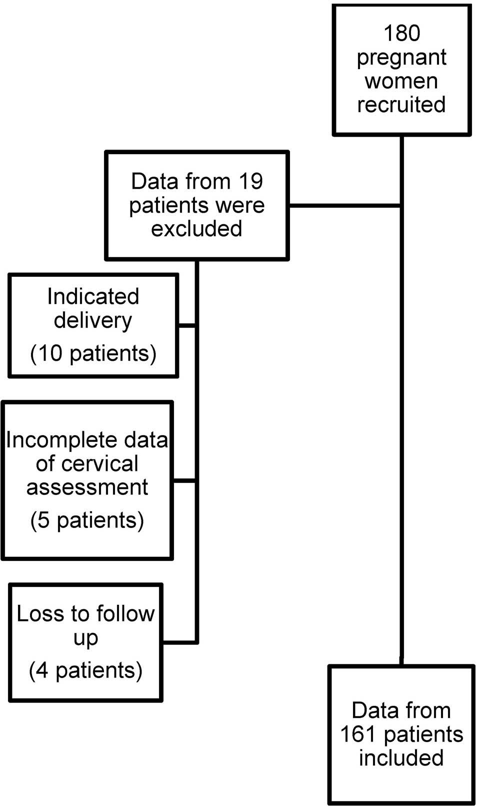 Flow of participants.