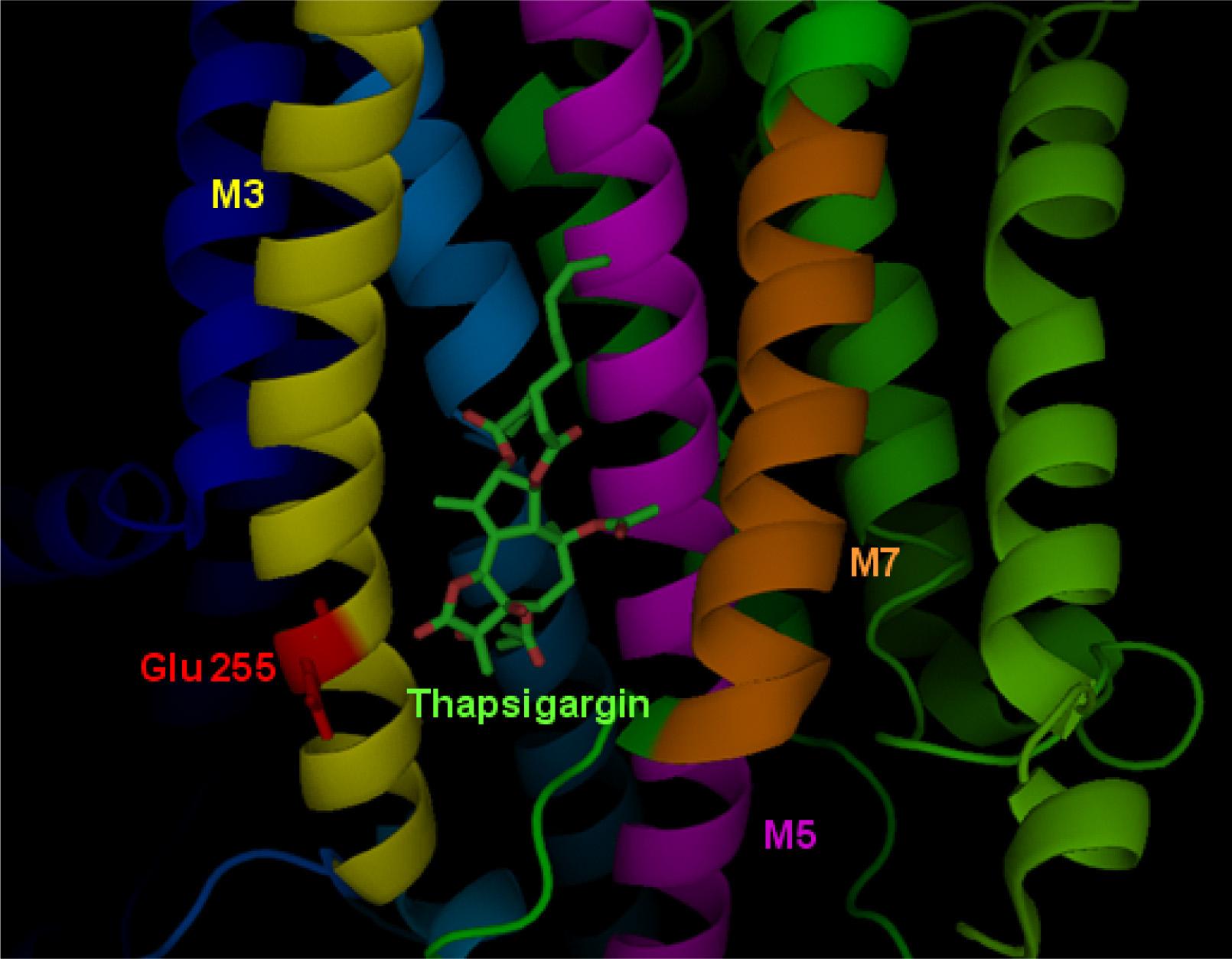 Map of Pakistan (A) with zoom-in image of Sindh province (B). Seven districts of interior Sindh from where subjects were recruited: 1. Khairpur, 2. Sanghar, 3. Umerkot, 4. Mirpur Khas, 5. Tando Allahyar, 6. Hyderabad, 7. Tando Adam.