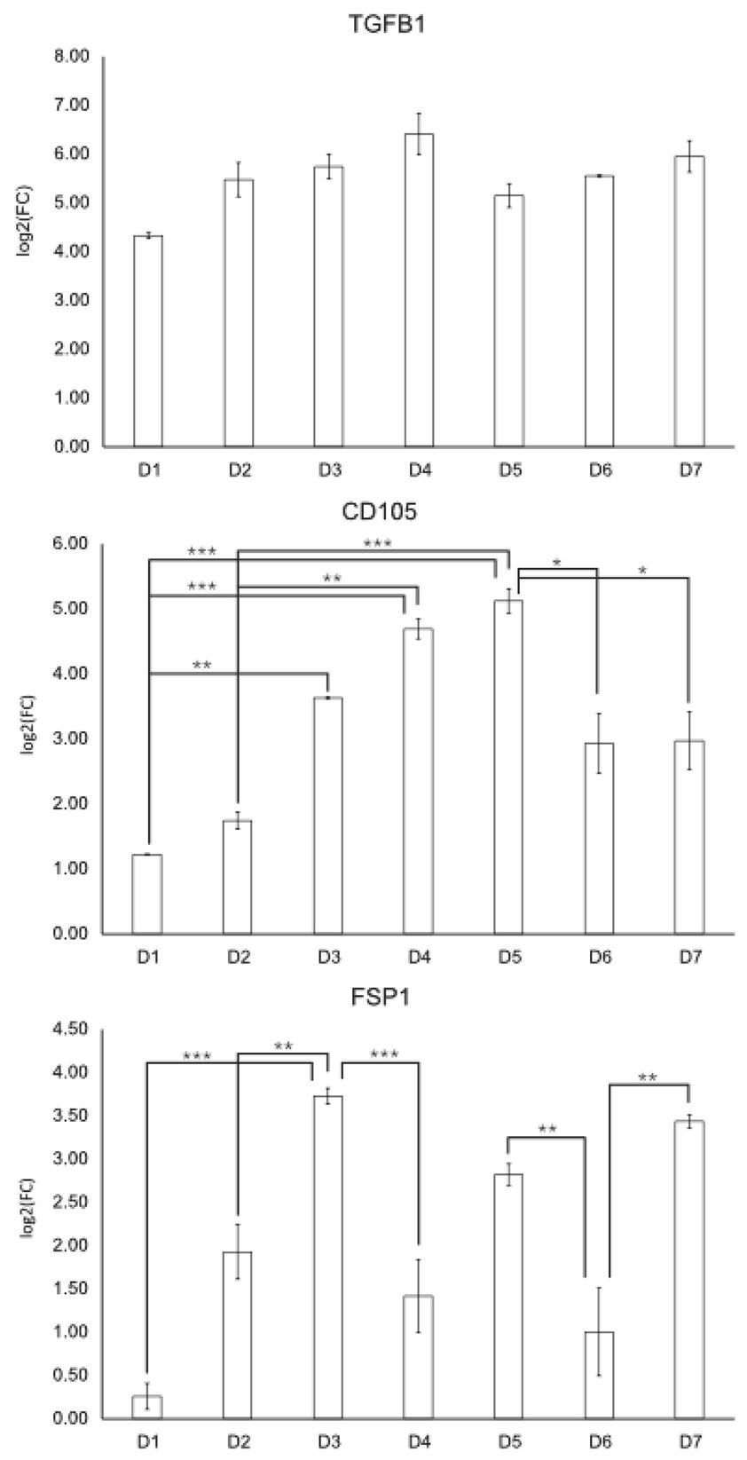 TGFB 1, CD105 and FSP1 expression in granulosa cells during 7-day in vitro culture. Data was presented like logarithm of fold change. Statistical analysis of the data was performed using the T-test and the differences were considered to be significant at the level of p<0.001 (***), p<0.01 (**), p<0.05 (*)