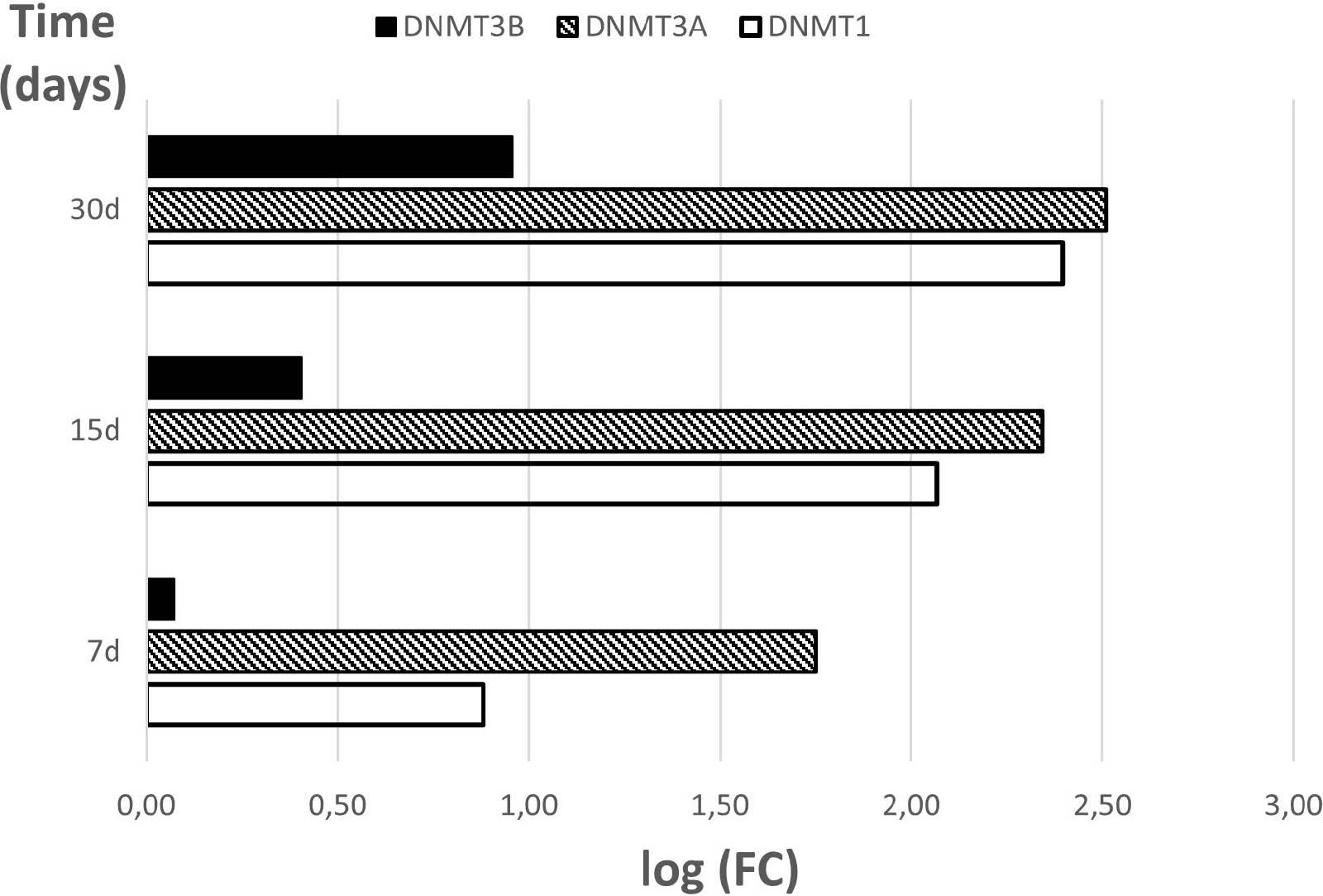 RT-qPCR quantitative relative changes of analyzed DNMTs presented in a form of a bar graph. The graph shows the relative changes in gene expression results for 7, 15 and 30 days of cultivation, in relation to the transcript levels obtained from beginningo of our culture (0d). FC was presented in its logarithmic form to provide clear comparability of the results