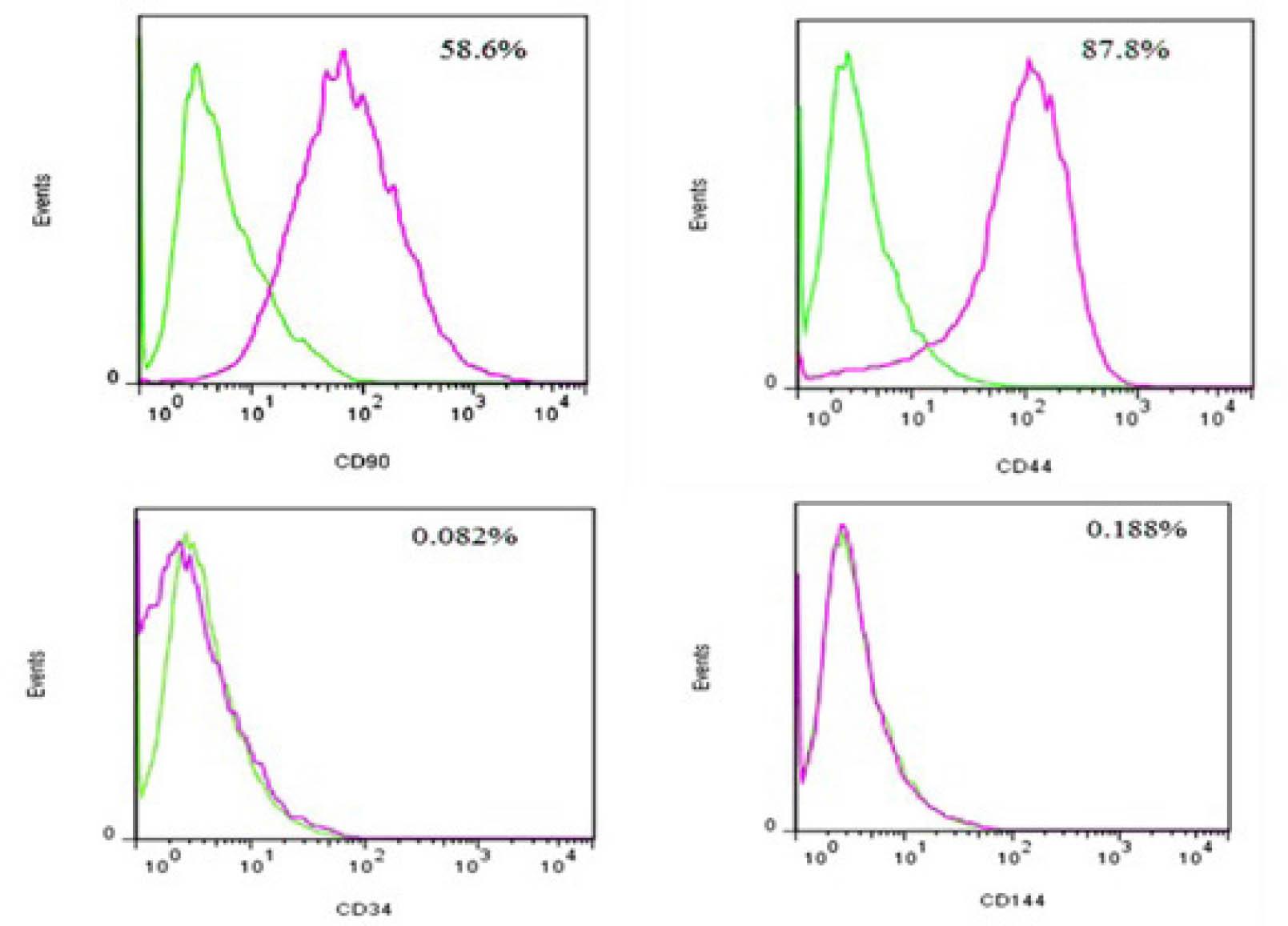 The Frequency of the Positive Cells for CD Markers by Flow Cytometry. The HUCWJ MSCs expressed CD44 and CD90, but they expressed CD34 and CD144 with less frequency