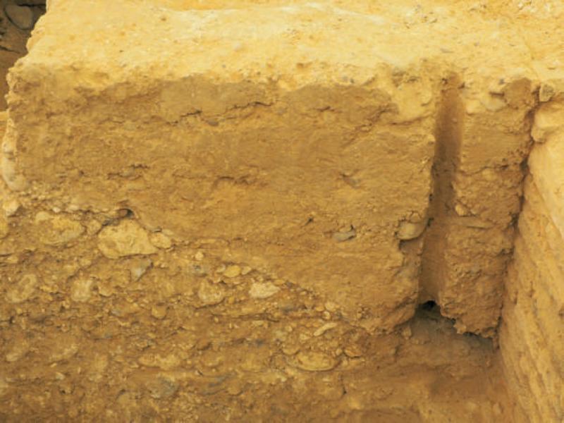 Ruins of the fence wall (exploration 1). Source: authors