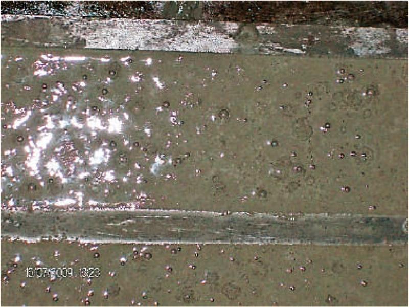 View of the self-compacting process of mortar incorporating PCP and AFA