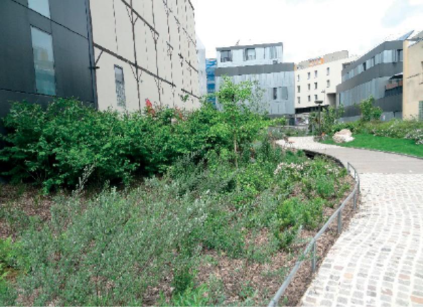 ZAC Frequel Fontarabe, Jardin de Vitaly, Source: author