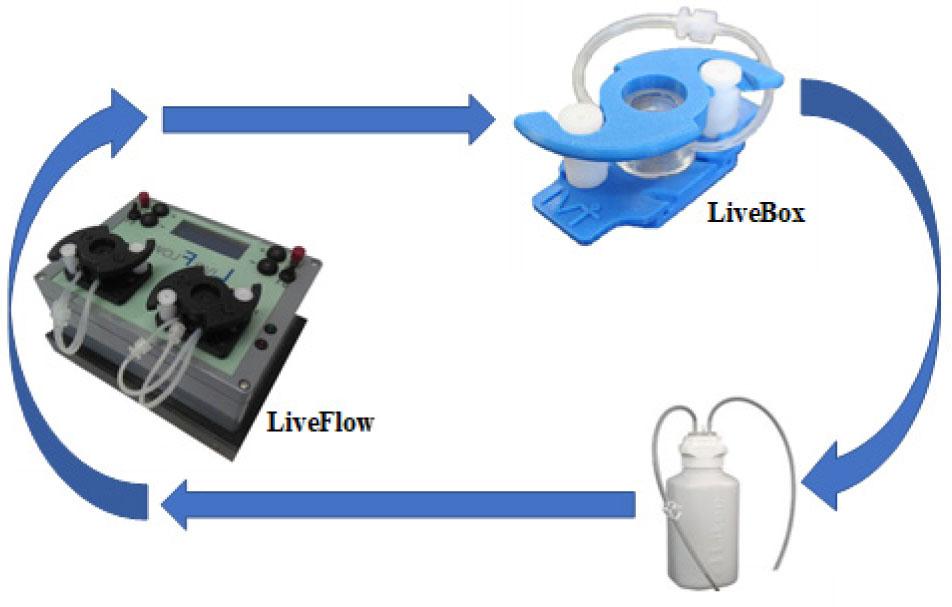 Scheme of dynamic cultivation using LiveFlow (IVTech). LiveBox with adherent cell line on the glass slide inside, reservoir with cultivation medium and LiveFlow ensuring continual flow of the medium.