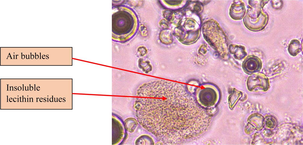 A sample of OraMAF suspension in olive oil, observed with a light microscope, magnification 400×.