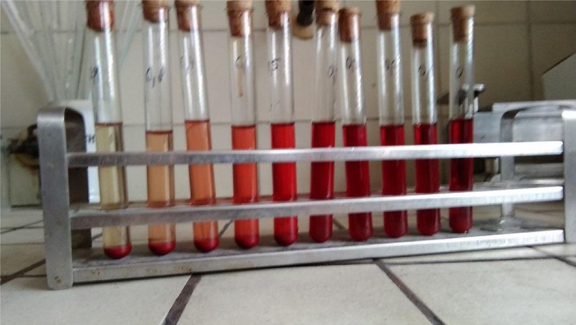 Hemolysis in different NaCl solutions.
