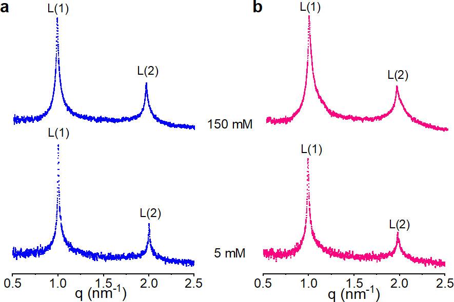 The SAXS patterns of DOPC in 5 and 150 mM of NaCl at 20 °C (a) and 50 °C (b). Intensity is in a logarithmic scale.