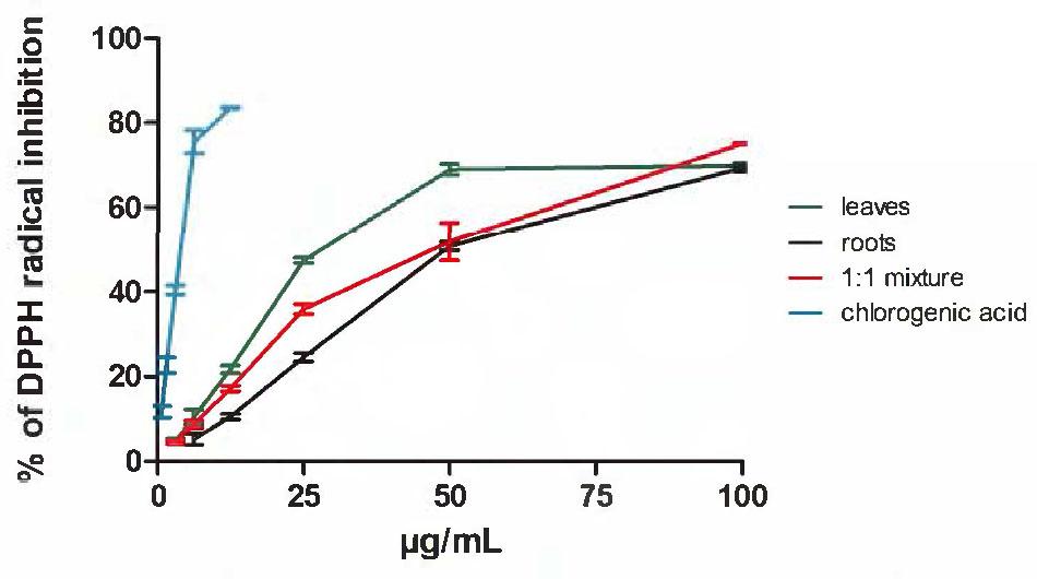 Dose-dependent inhibition of DPPH radical by D. fullonum extracts of leaves, roots a 1:lmixture of leaves and roots extracts, and chlorogenic acid as the positive control. The bars represent the mean ± SD, n=4. Pearson’s two-tailed correlation test was used to assess the correlation, where p<0.05 was observed for the leaves and chlorogenic acid, and p<0.01 for the roots and 1:1 mixture.