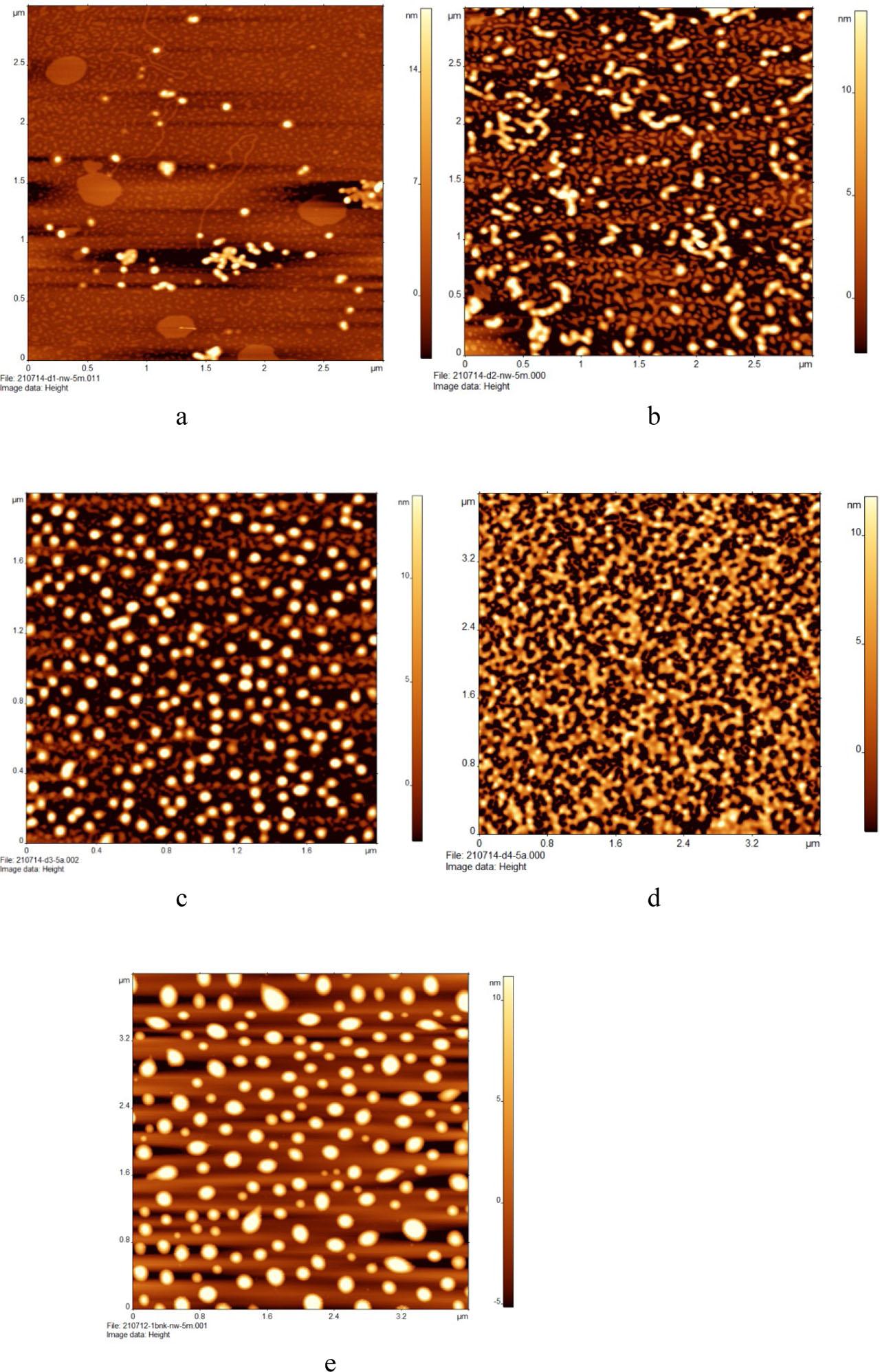 Images showing shapes of DSLN1 (a), DSLN2 (b), DSLN3 (c), DSLN4 (d) and BSLN (e) nanoparticles.