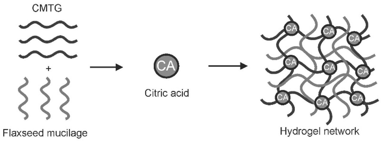 Schematic representation of formation of hydrogel film.