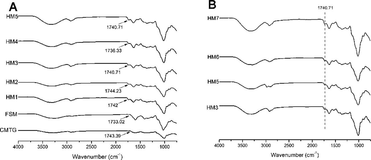 ATR–FTIR spectra of (a) CMTG, FSM, and hydrogel films HM1–HM5 and (b) hydrogel films HM3, HM5, HM6, and HM7.
