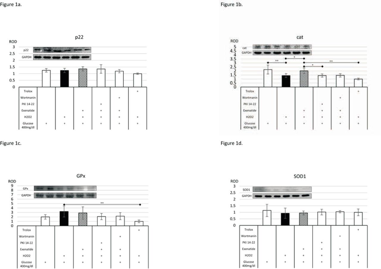 The impact of exenatide on the level of expression of p22 (a), catalase (b), glutathione peroxidase (c) and superoxide dismutase 1 (d). Data are expressed as means ± SEM. Asterisks indicate the level of statistical significance: * - p<0.05, ** - p<0.01