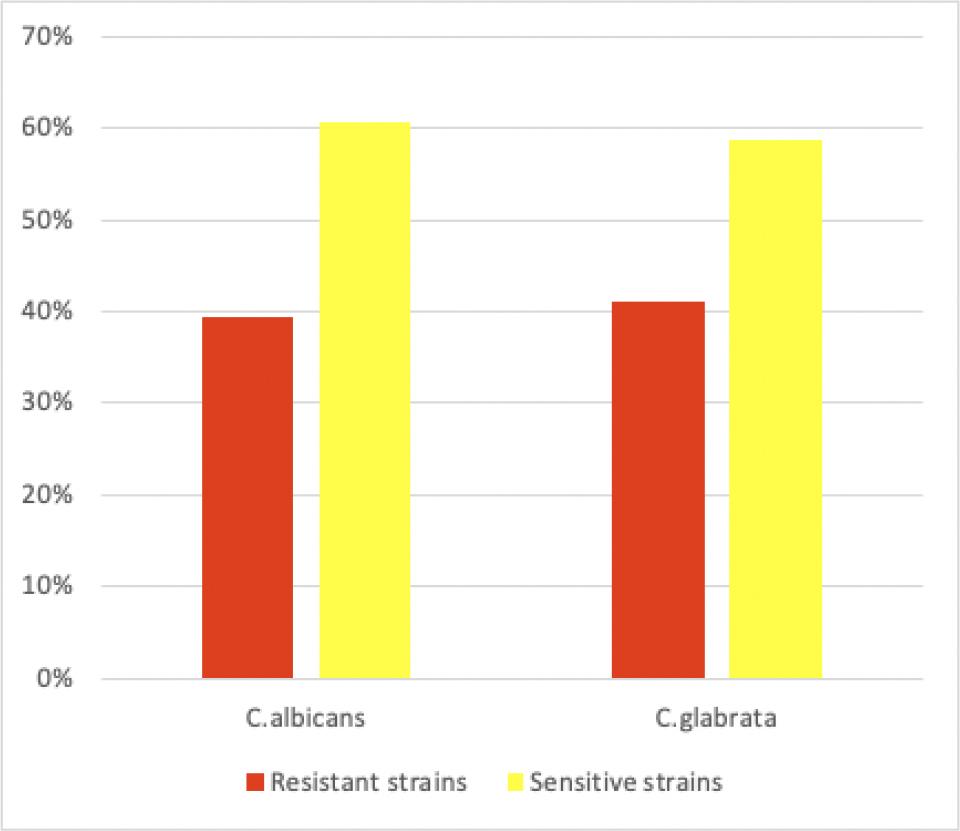 Sensitivity pattern of C. albicans and C. glabrata