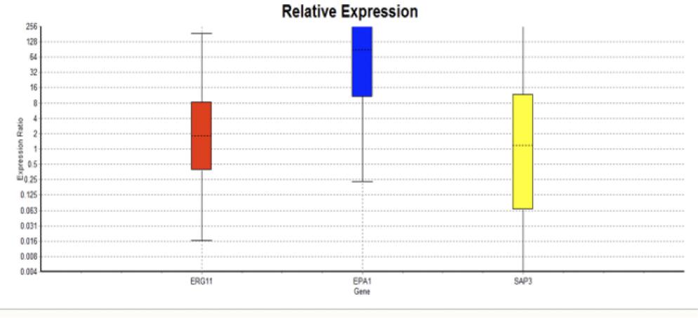 Total result of C. glabrata. genes expression (ERG11, EPA1, SAP3)