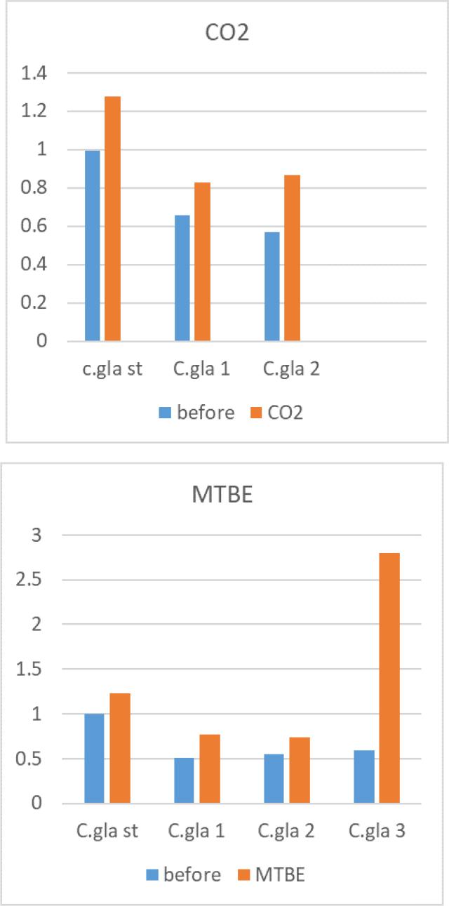 Result of biofilm formation for C. glabrata according to the effects of CO2 and MTBE