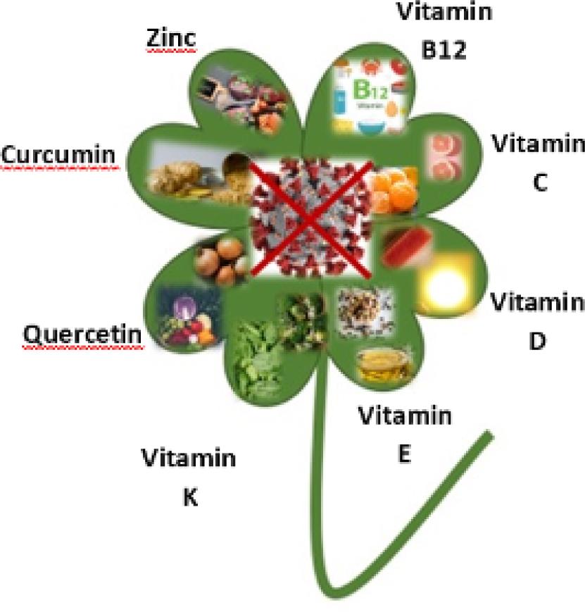 Some suggested important natural foods effective against COVID-19