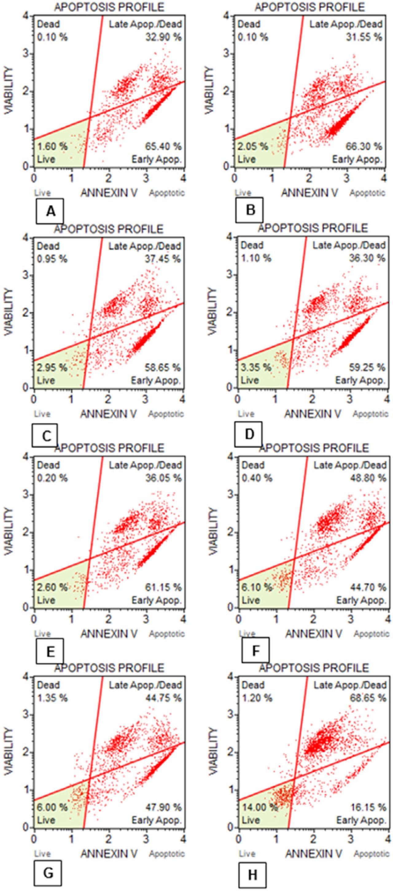 Data graphics obtained from the Muse Cell Analyzer, showing the apoptosis rates of EAT cells according to the groups at the end of 24 hours of incubation. A. Control group, B. 5-FU group, C. DMSO group, D. 50 μg/ml YP group, E. 100 μg/ml YP group, F. 200 μg/ml YP group, G. 400 μg/ml YP group, H. 800 μg/ml YP group