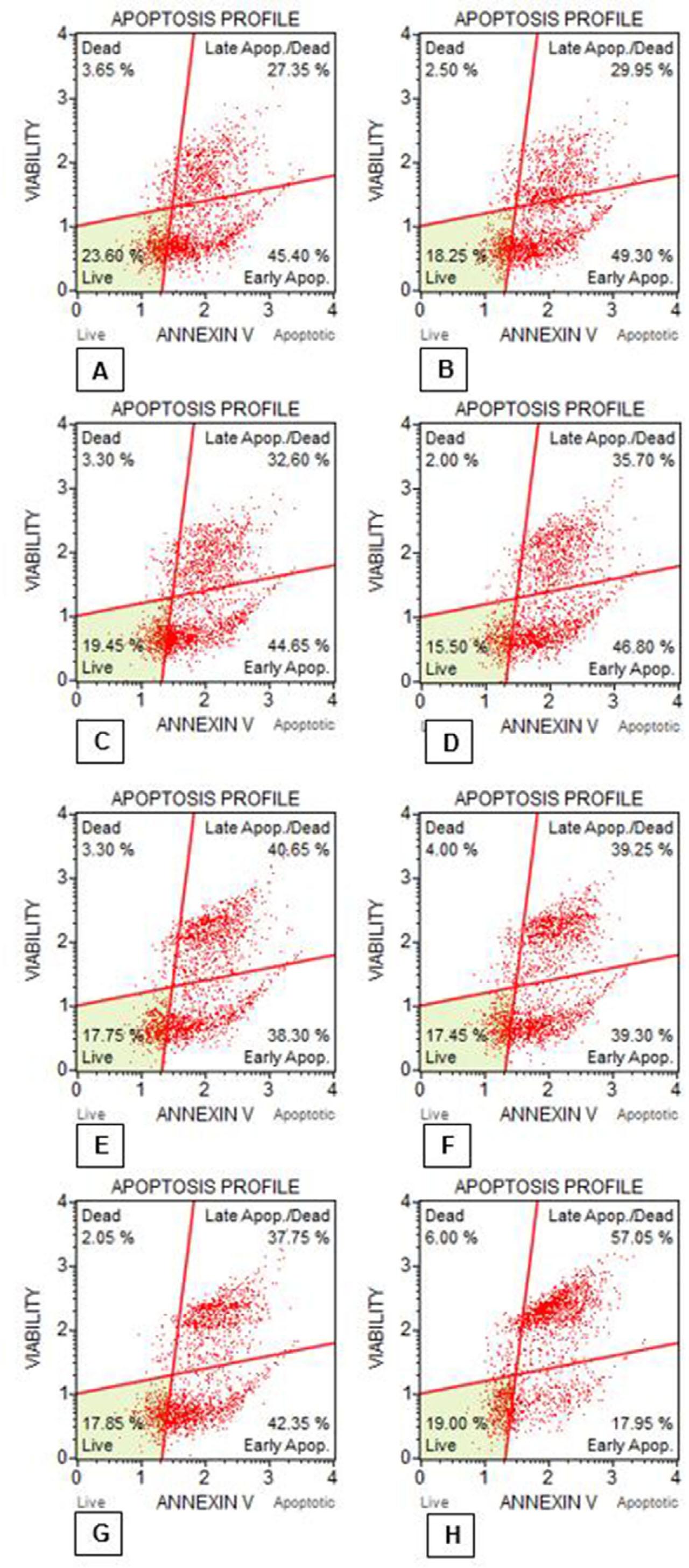 Data graphics obtained from the Muse Cell Analyzer, showing the apoptosis rates of EAT cells according to the groups at the end of 48 hours incubation. A. Control group, B. 5-FU group, C. DMSO group, D. 50 μg/ml YP group, E. 100 μg/ml YP group, F. 200 μg/ml YP group, G. 400 μg/ml YP group, H. 800 μg/ml YP group