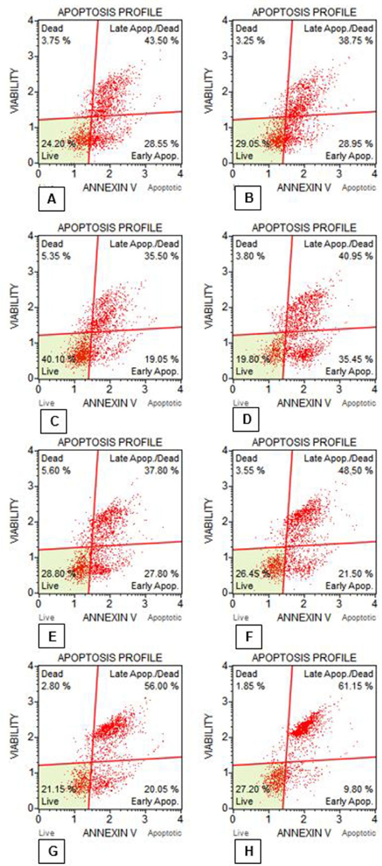 Data graphics obtained from the Muse Cell Analyzer, showing the apoptosis rates of EAT cells according to the groups at the end of 72 hours of incubation. A. Control group, B. 5-FU group, C. DMSO group, D. 50 μg/ml YP group, E. 100 μg/ml YP group, F. 200 μg/ml YP group, G. 400 μg/ml YP group, H. 800 μg/ml YP group