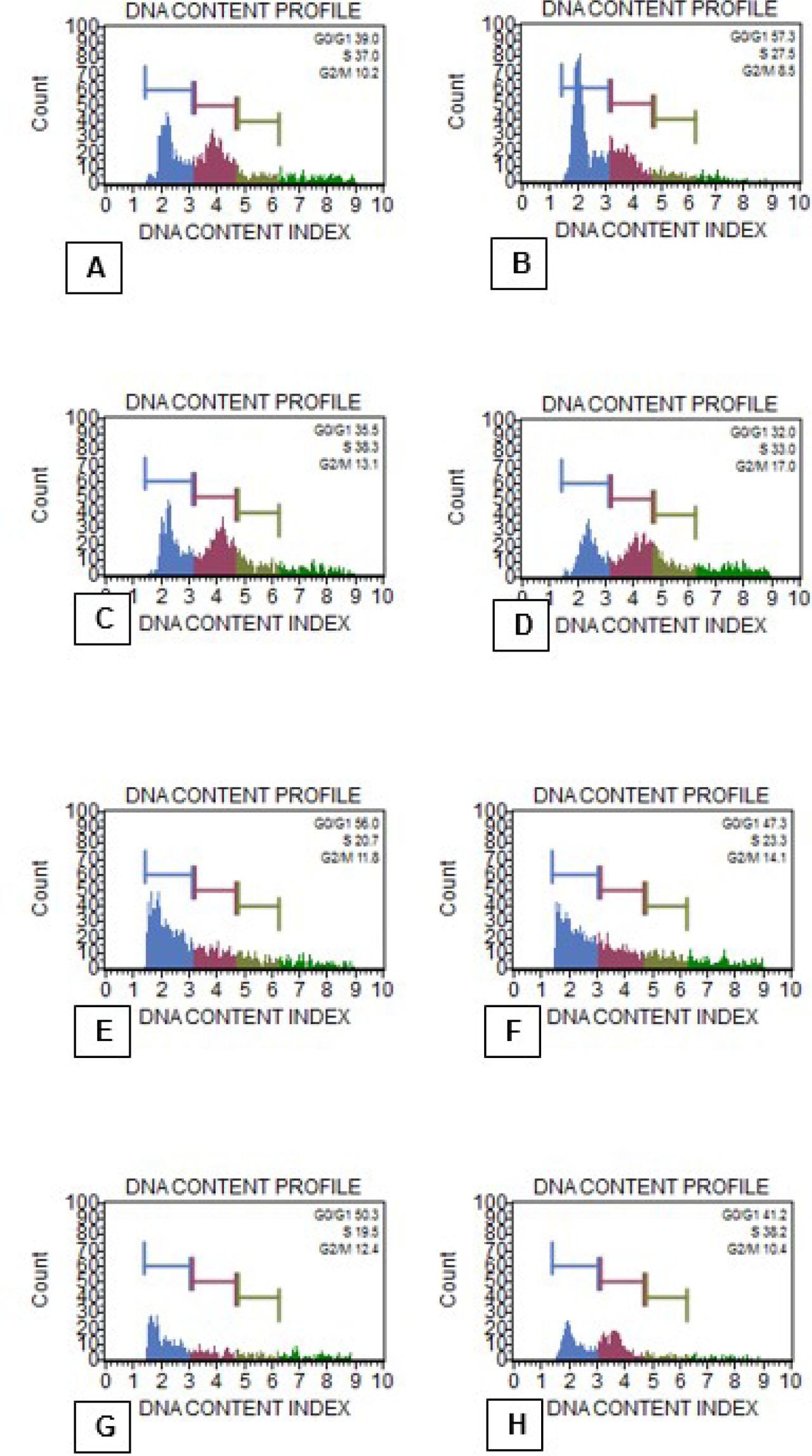 Data graphs obtained from Muse Cell Analyzer, showing cell cycle rates of EAT cells according to groups at the end of 48 hours of incubation. A. Control group, B. 5-FU group, C. DMSO group, D. 50 μg/ml YP group, E. 100 μg/ml YP group, F. 200 μg/ml YP group, G. 400 μg/ml YP group, H. 800 μg/ml YP group