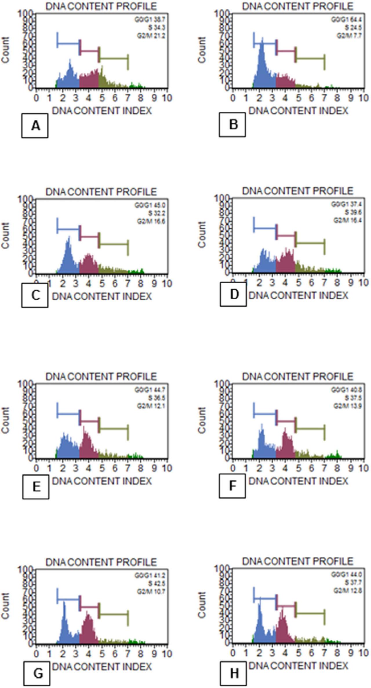 Data graphs obtained from Muse Cell Analyzer, showing cell cycle rates of EAT cells according to groups at the end of 72 hours of incubation. A. Control group, B. 5-FU group, C. DMSO group, D. 50 μg/ml YP group, E. 100 μg/ml YP group, F. 200 μg/ml YP group, G. 400 μg/ml YP group, H. 800 μg/ml YP group