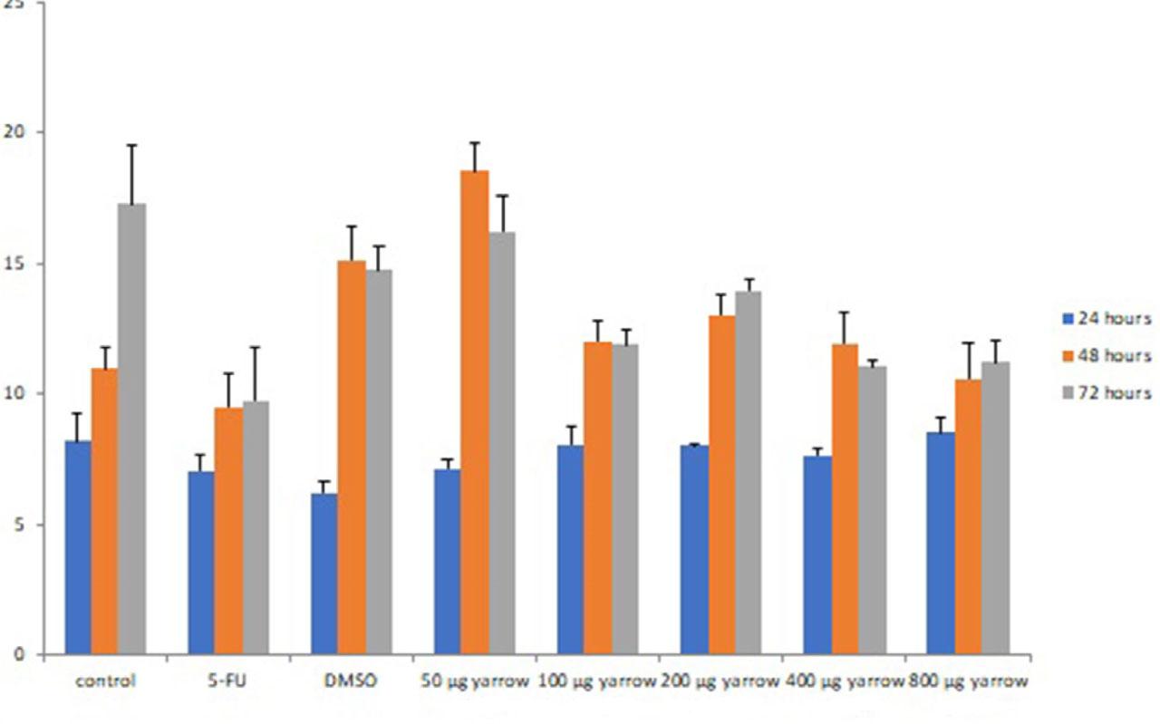 Percentage values of the G2 / M Stage according to the cultural times of the groups