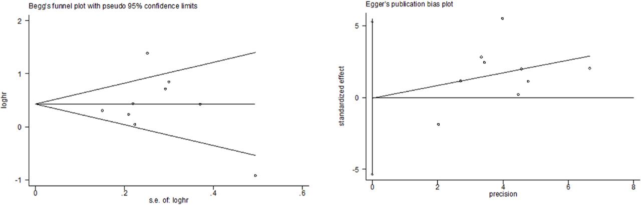 Begg's funnel plot and Egger's funnel plot for all studies included in this meta-analysis