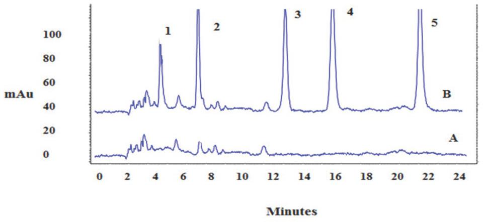 Specificity of the proposed method for the analysis of diazinon in urine sample
Chromatogram A: blank urine; Chromatogram B: urine spiked with: 1 – tramadol, 2 – azinphos-ethyl, 3 – diazinon, 4 – pirimiphosmethyl, and 5 – chlorpyrifos