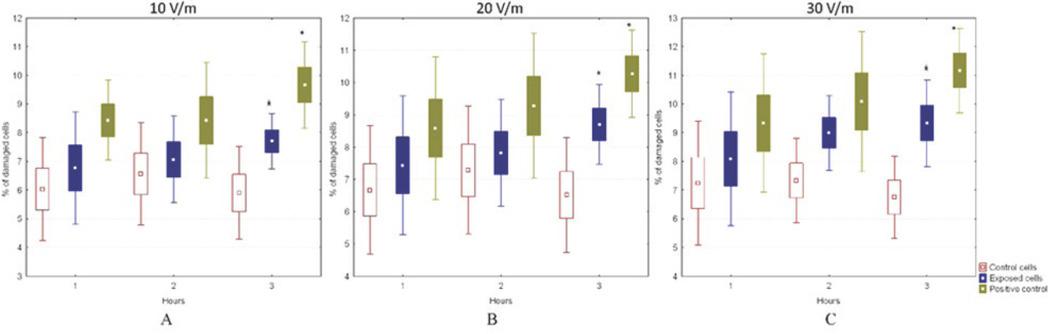 Microtubular structure impairment in V79 cells after 1, 2, and 3 h of exposure to GSM-modulated 915 MHz field at the electric field strength of 10 V/m corresponding to SAR of 0.23 W/kg (A), 20 V/m at the SAR 0.8 W/kg (B) and 30 V/m corresponding to SAR of 1.6 W/kg (C). Control cells – unexposed to radiation (sham exposure); Positive control – cells treated with colchicine. *P<0.05