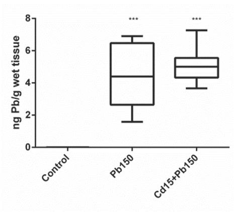 Brain Pb levels in Wistar rats after acute exposure to Pb alone and in combination with Cd (N=6–8 per group). *** P<0.001 compared to control (one-way ANOVA followed by LSD). Pb 150 – the group treated with Pb in the dose of 150 mg/kg bw; Cd15+Pb150 – the group treated with a combination of 150 mg/kg Pb and 15 mg/kg of Cd. Boxes represent interquartile ranges (25–75th percentile), the line within the box median values, and the ends of the whiskers minimum and maximum values within the group