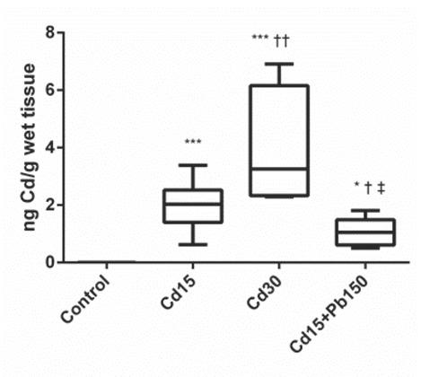Brain Cd levels in Wistar rats after acute exposure to Cd alone and in combination with Pb (N=6–8 per group). * P<0.05, ** P<0.01, *** P<0.001 compared to control; † P<0.05, †† P<0.01 compared to Cd15; ‡ p<0.05, compared to Cd30 (one-way ANOVA followed by LSD). Cd15 – the group treated with Cd in the dose of 15 mg/kg bw; Cd30 – the group treated with Cd in the dose of 30 mg/kg bw; Cd15+Pb150 – the group treated with a combination of 150 mg/kg Pb and 15 mg/kg Cd. Boxes represent interquartile ranges (25–75th percentile), the line within the box median value, and the ends of the whiskers minimum and maximum values within the group