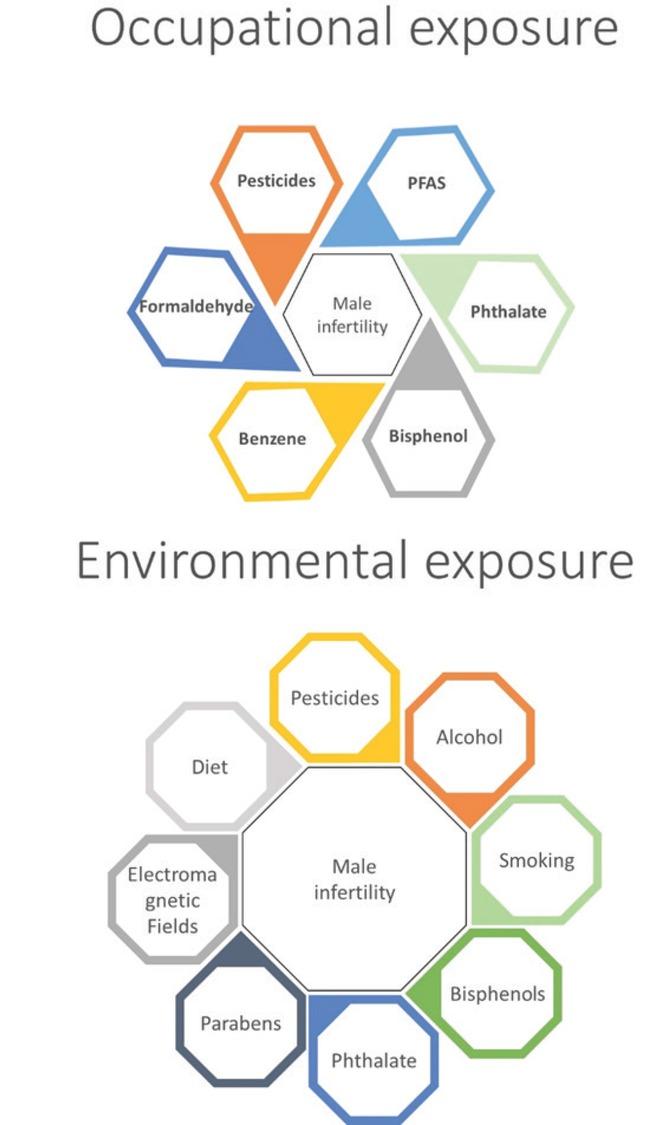 Overview of occupational and environmental stressors associated with male infertility