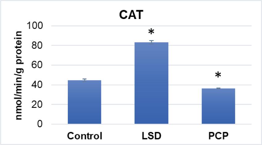 Catalase (CAT) activity measured in SH-SY5Y cells after treatment with LSD (6.25 μmol/L) and PCP (3.13 μmol/L) compared to control. *p<0.05 vs control (Mann-Whitney U test)