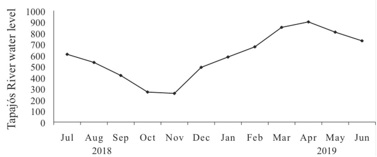 Variations of the Tapajós River water levels (cm) in Itaituba from July 2018 to June 2019
