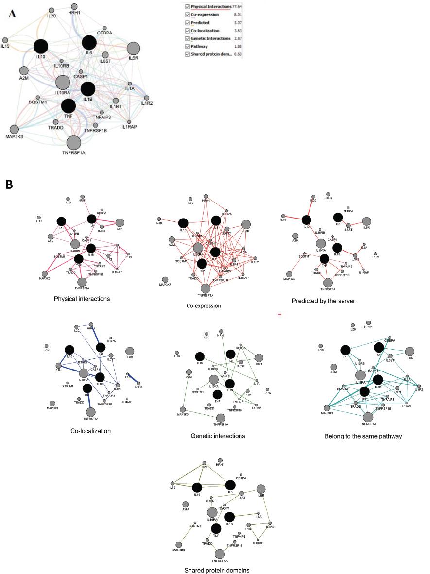 Network of genes associated with SO2, CO, PMx, NO2, and O3 exposure and COVID-19 disease complications (IL10, IL6, IL1B, and TNF) (black circles) and 20 related genes predicted by the GeneMANIA tool (http://geneMANIA.org/plug-in/) (grey circles). Panel A shows prevalence of interaction types (in percentages) and panel B networks for each interaction type